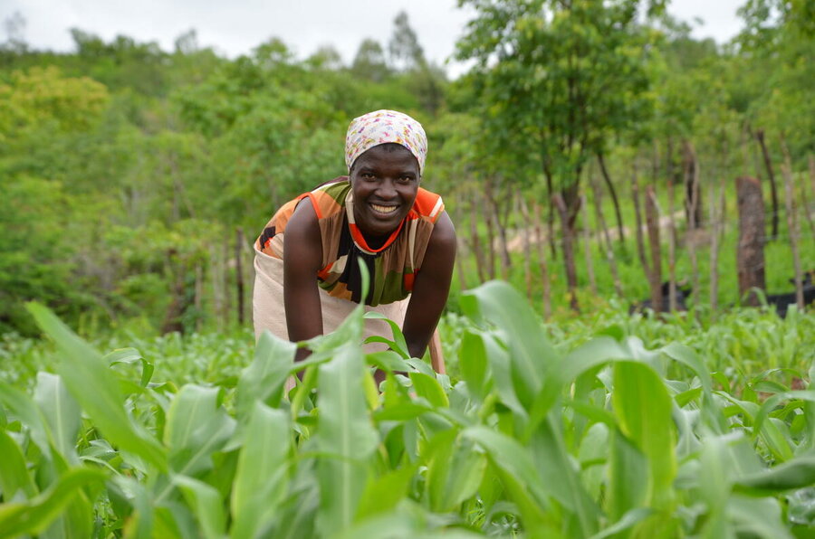 Africa Climate Week Farmers Get Ahead Of Hunger As Extreme Weather Africa Climate Week Farmers Get Ahead Of Hunger As Extreme Weather